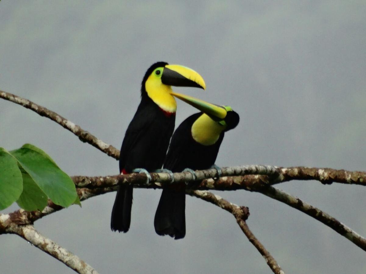 Posada Turistica Rocas De Cabo Marzo 巴亚索拉诺 外观 照片